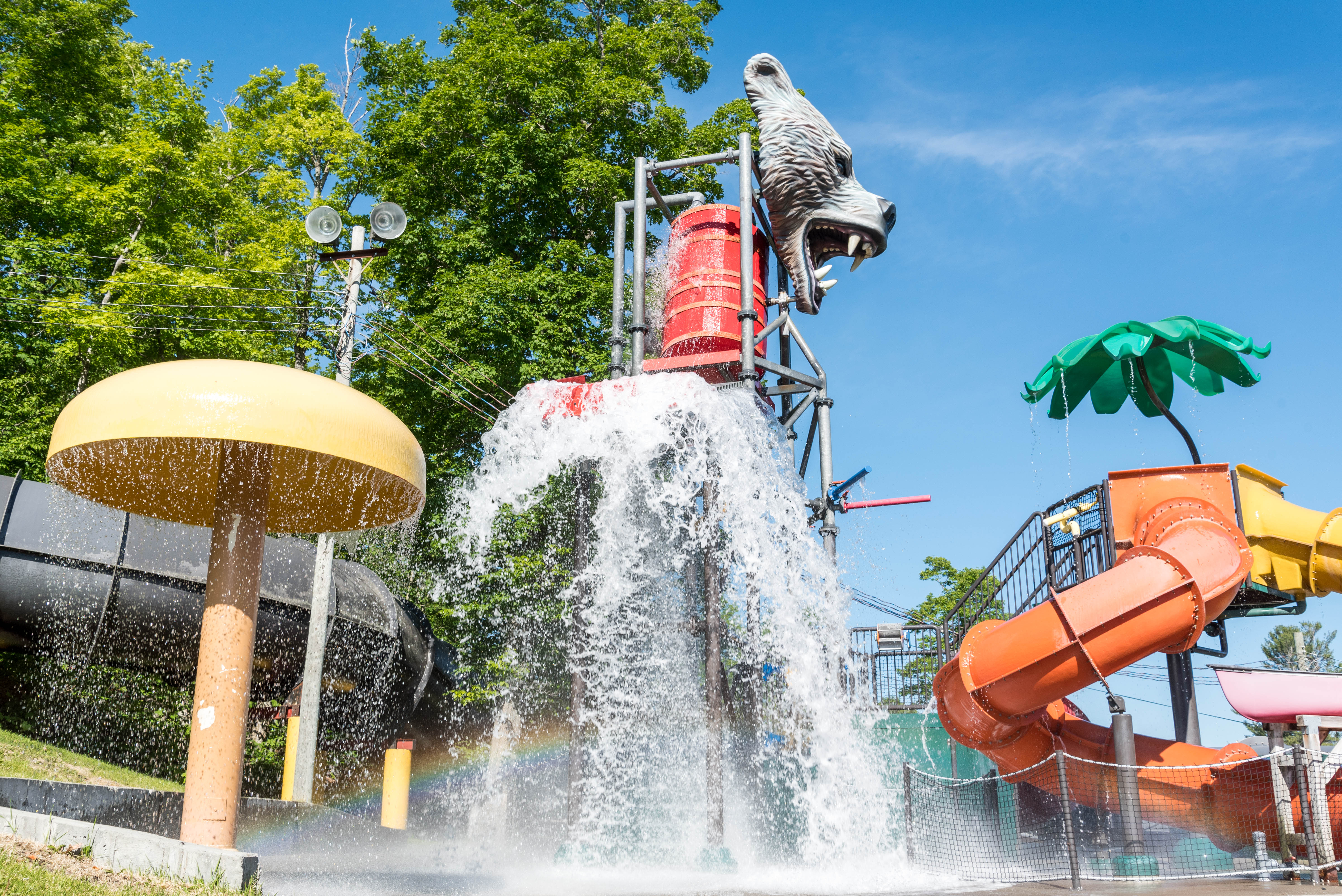 Splash Forest